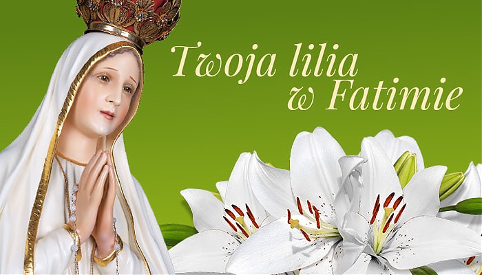 Podarujmy Matce Bożej tysiące białych lilii!
