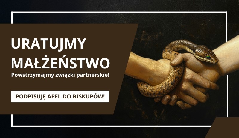 Ratowanie małżeństwa to obrona przed upadkiem cywilizacyjnym. Podpisujmy list do biskupów polskich!