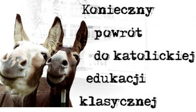 Katastrofa edukacji w Polsce