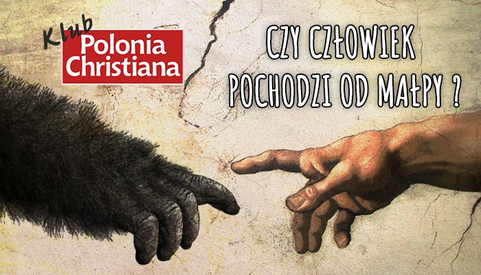 „Czy człowiek pochodzi od małpy?”. Klub „Polonia Christiana” w Krakowie zaprasza