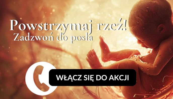 W obronie dzieci, w obronie Ojczyzny. Akcja „Zadzwoń do posła” i marsz na Sejm