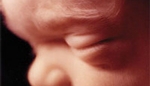  Msza święta w dniu czytania projektu ustawy antyaborcyjnej 
