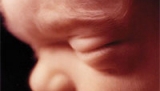 Zakaz aborcji jest zgodny z prawem międzynarodowym