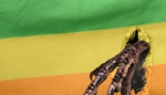 Komisja Europejska i holenderski rząd finansują lobby homoseksualne